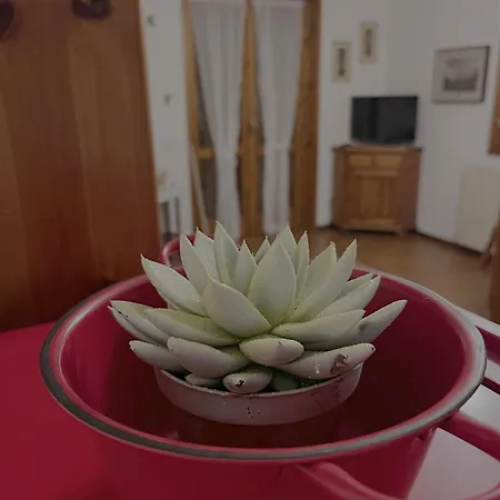 Apartment Casa Giusy