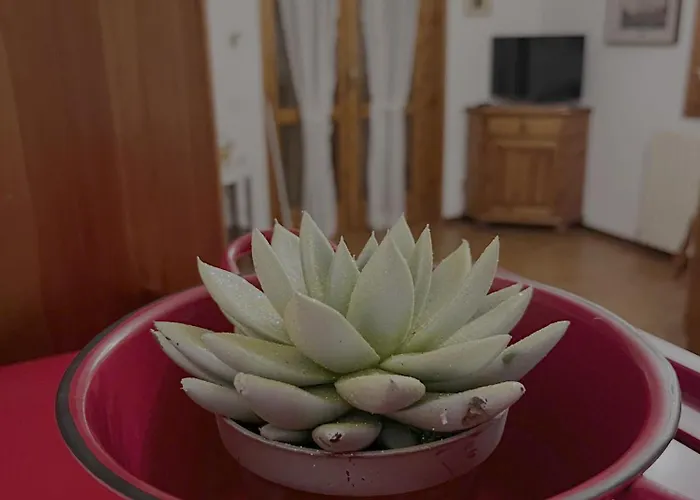 Apartament Casa Giusy